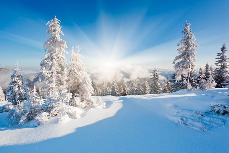Verschneite Winterlandschaft in der Sonne