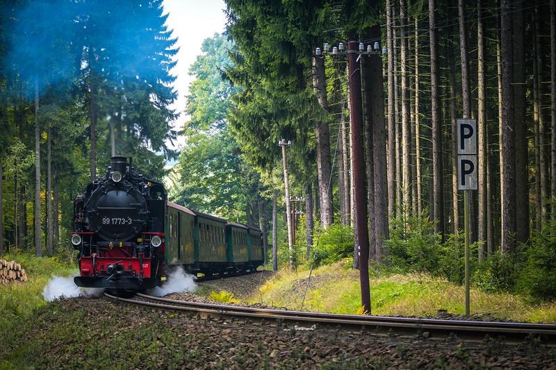 Dampfzug im Wald