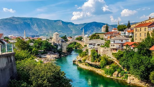 Mandarinenernte im sonnigen Kroatien