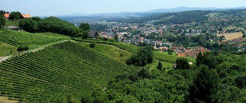 Mit Genuss durch die Steiermark