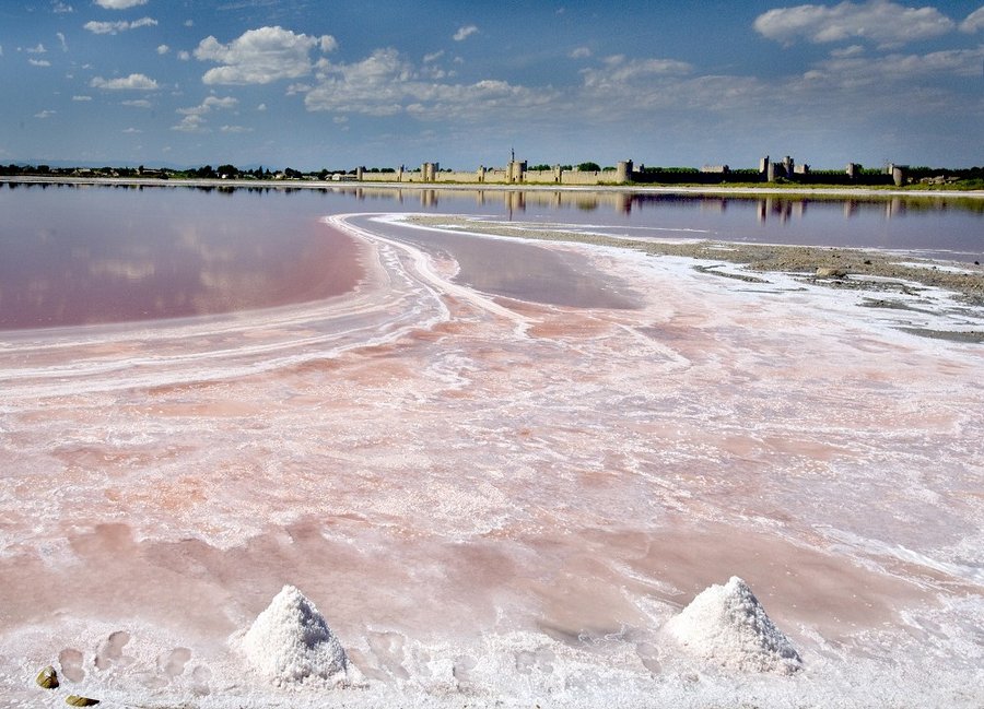Aigues_Mortes_Salinen_C_Th_VezonSalins