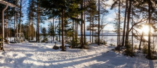 Copyright:Elena Karpenkova