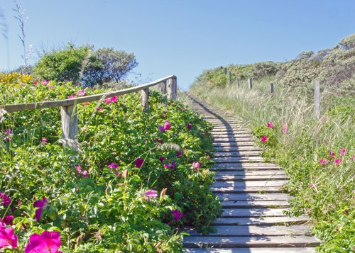 Moin, Moin in Ostfriesland