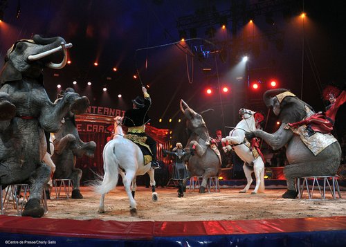 Zirkusfestival in Monte Carlo