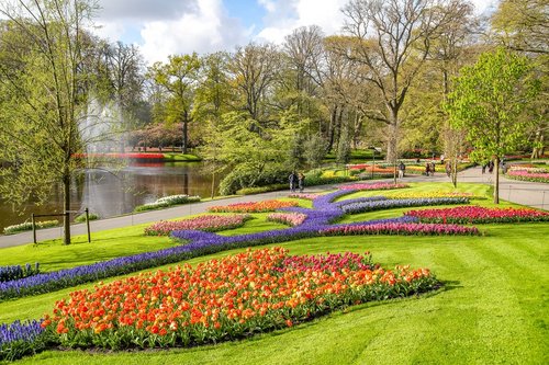 Zur Tulpenblüte nach Holland