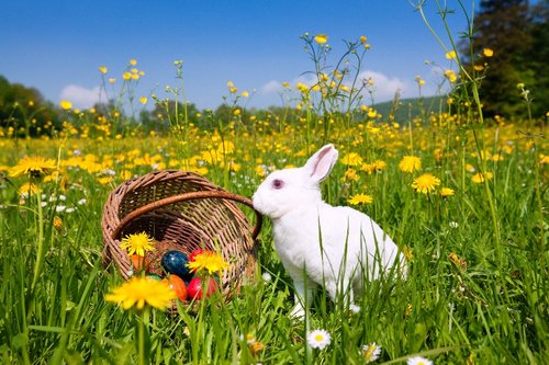 Ostern am Wörthersee