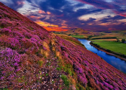 Große Irland und Großbritannien Rundreise mit AIDAbella