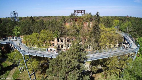 Heidelbeeren und Beelitz-Heilstätten
