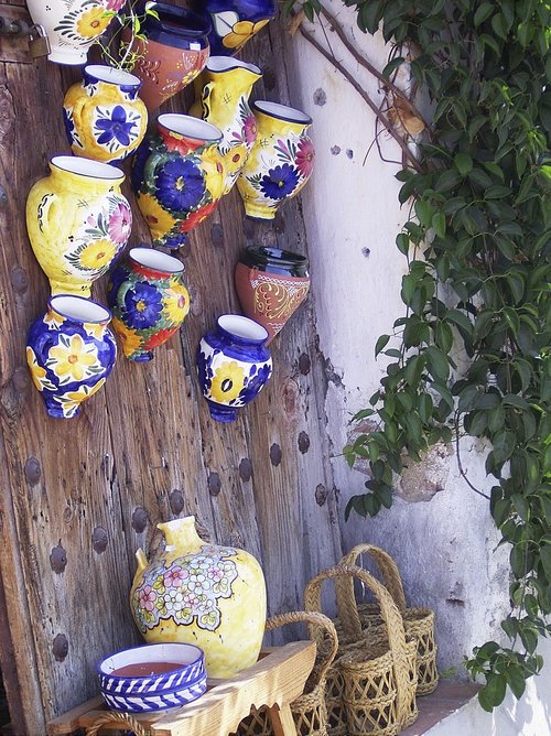 (C) Caplio G3 modelM User (C) Caplio G3 modelM User