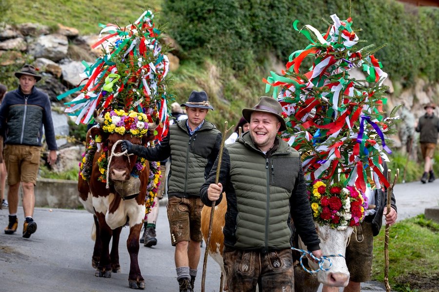 Almabtrieb in der Steiermark