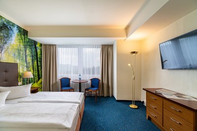 Ahorn Berghotel Friedrichroda