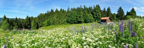 Saisonabschluss im Thüringer Wald