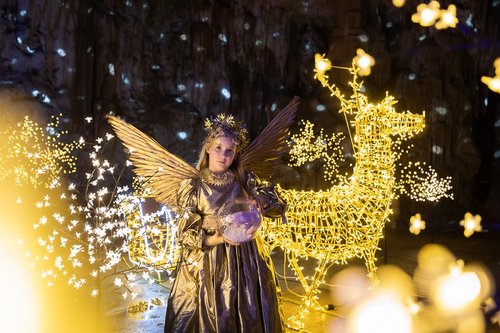 Žiga Intihar Žiga Intihar