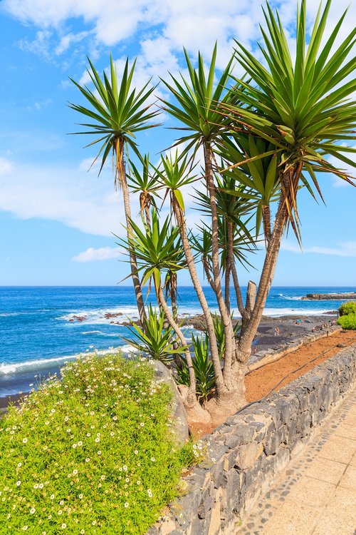 ALL RIGHTS RESERVED ALL RIGHTS RESERVED