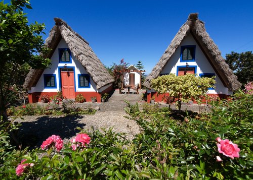 Blumeninsel Madeira Blumeninsel Madeira