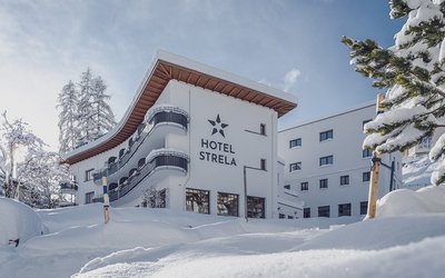 kraifk design