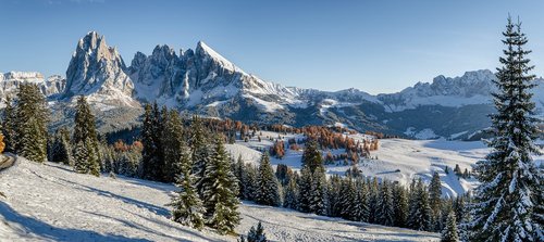 iPics Photography iPics Photography