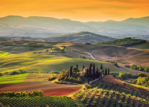 Zur Kamelienblüte in die Toskana Zur Kamelienblüte in die Toskana