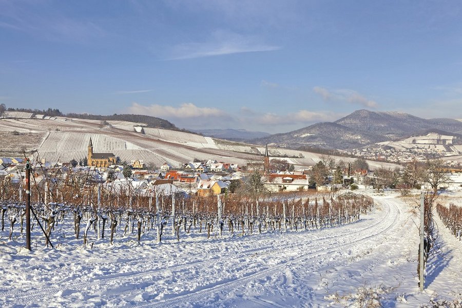 Silvester in der Pfalz