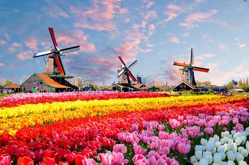 Â©Olena Z - stock.adobe.com