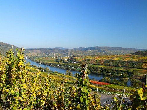 Rhein in Flammen in Oberwesel