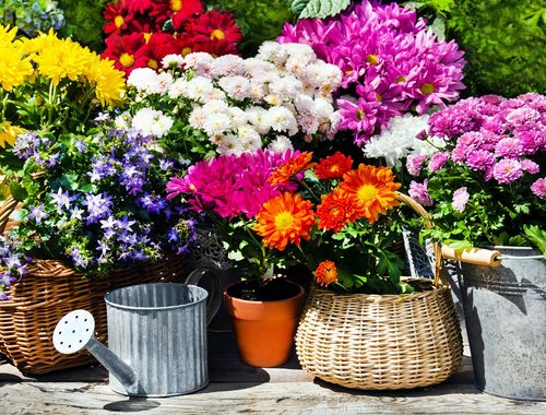 Landesgartenschau Wittenberge