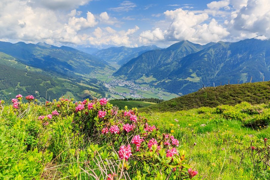 Â©Manfred Schmidt - stock.adobe.com