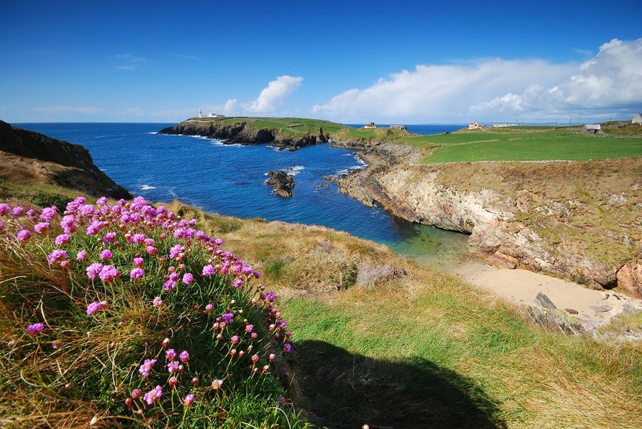 Irland - Frühling auf der grünen Insel