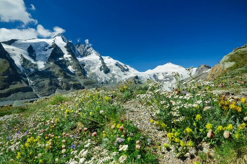 Dem Großglockner hautnah