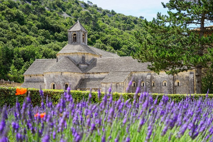 Mediterrane Vielfalt