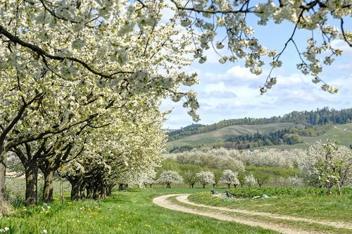 Ostern im schönen Schwarzwald