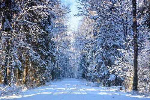 Â©puchan - stock.adobe.com