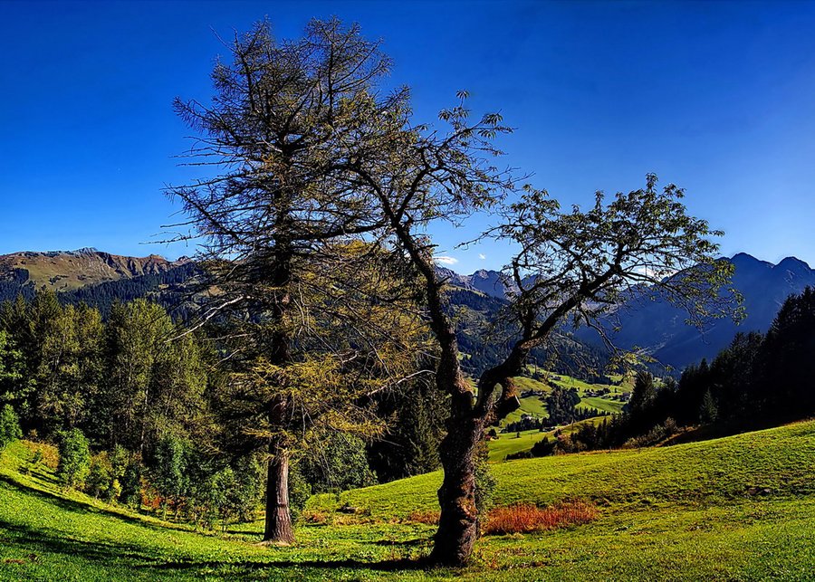 Kleinwalsertal