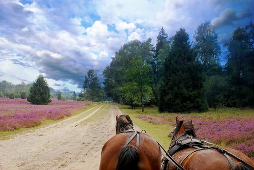 Â©Butch - stock.adobe.com