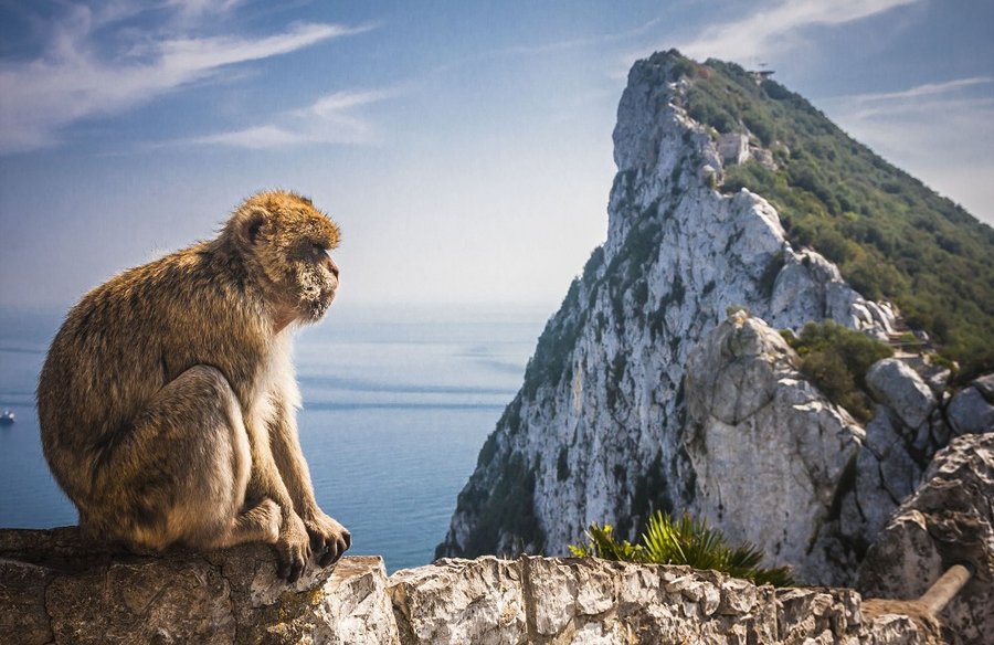 Mediterrane Schätze & Gibraltar mit AIDAcosma