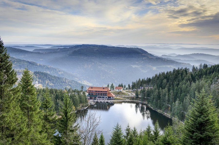 Singlereise in den Schwarzwald