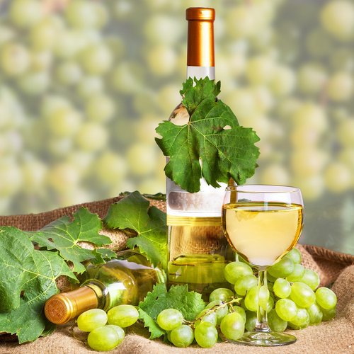 Winzervereinigung Freyburg mit Besuch Naumburg