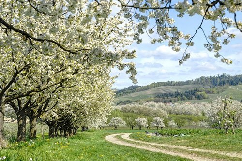 Ostern im schönen Schwarzwald