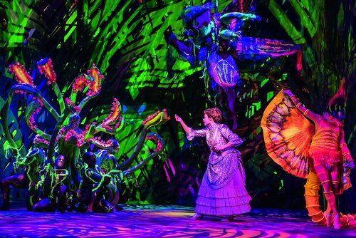 © Johan Persson © Johan Persson