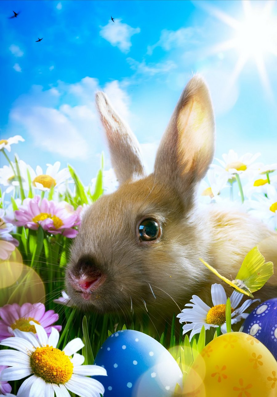 Â©Konstiantyn - stock.adobe.com