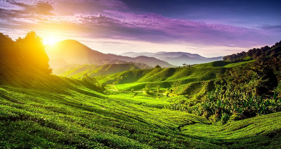 Sri Lanka und Malediven
