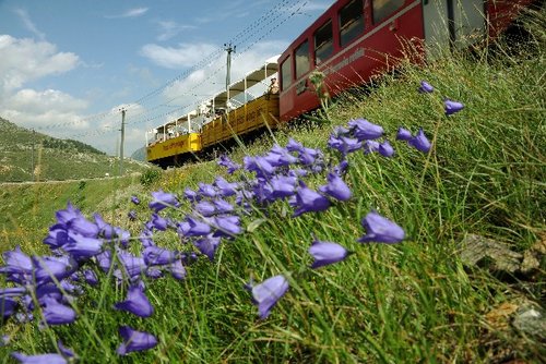 Erlebnisreiches Dreiländereck