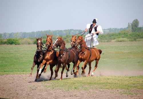 Traumhafte Donaukreuzfahrt