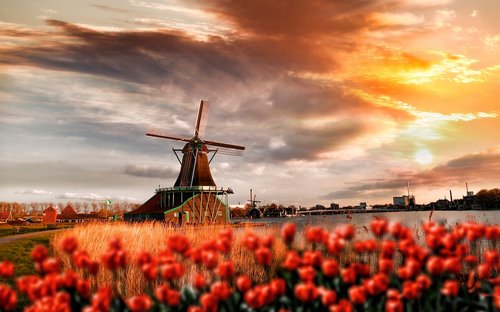 ©samott - stock.adobe.com ©samott - stock.adobe.com