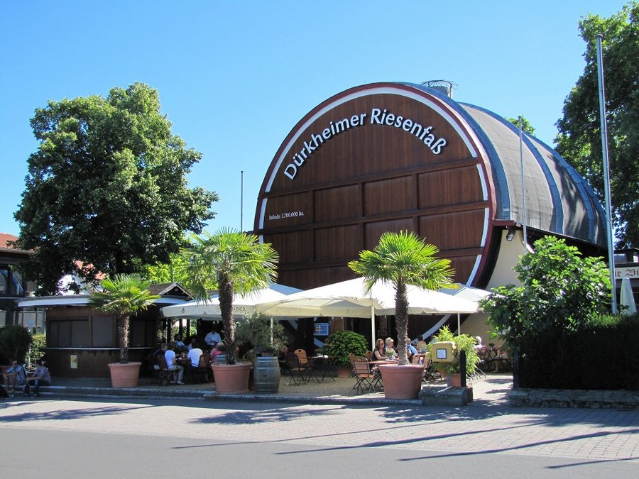 Mandelblüte in der Pfalz
