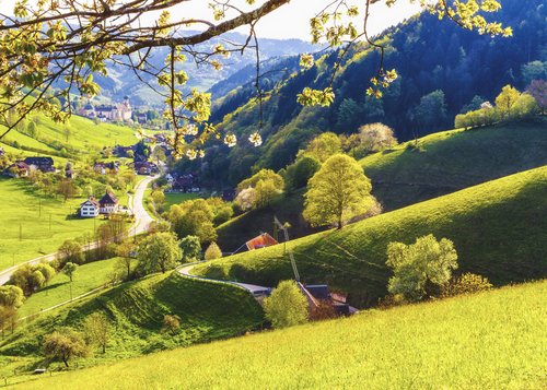 Schöner Schwarzwald und Straßburg
