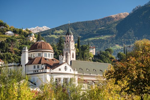 M. Schoenfeld M. Schoenfeld