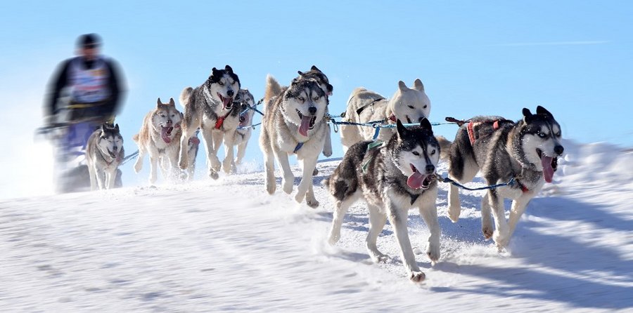 Winterliches Finnland