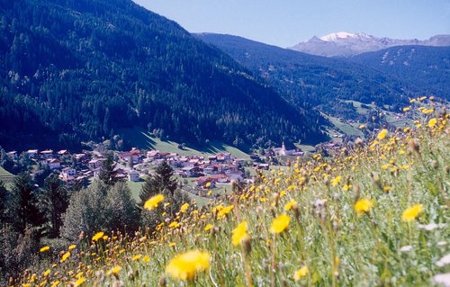 Zauberhafter Bergsommer