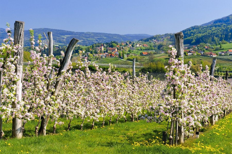 Steiermark Tourismus/Erich Hagspiel